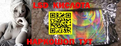 шишки Шелехов