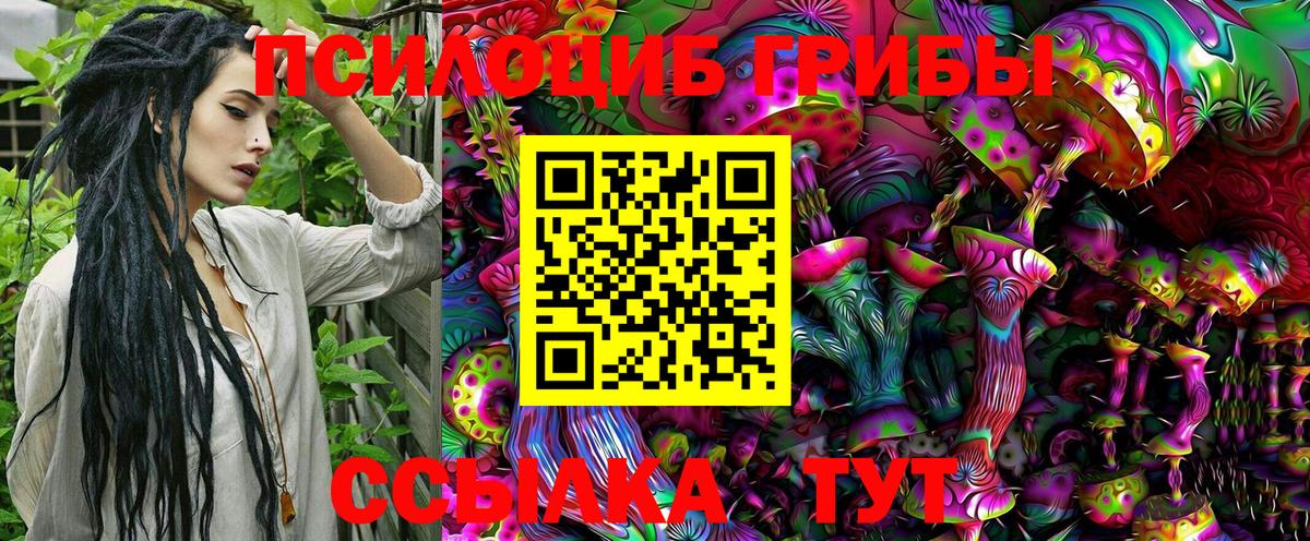 Галлюциногенные грибы Psilocybine cubensis  Вход с VPN  сколько стоит  Дербент 